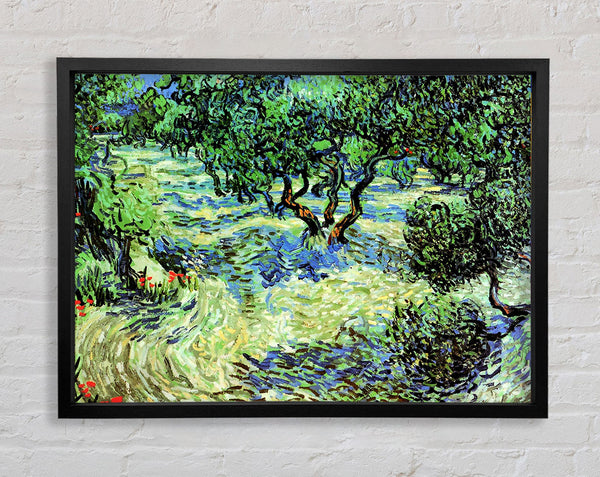 Van Gogh Olivenhain 2