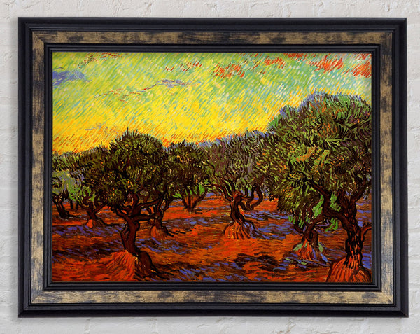 Van Gogh Olive Grove Orange Sky Framed Print