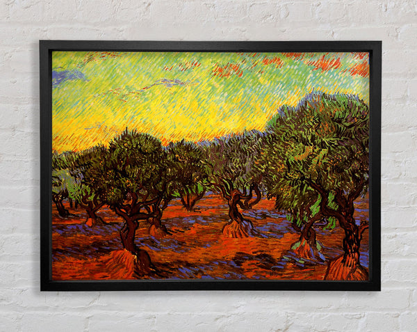Van Gogh Olive Grove Orange Sky Framed Print