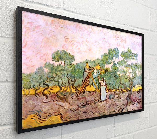 Van Gogh Olive Pickers