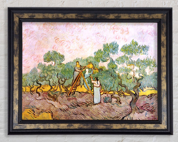 Van Gogh Olive Pickers Framed Print