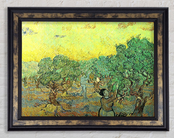 Van Gogh Olive Pickers In A Grove Framed Print