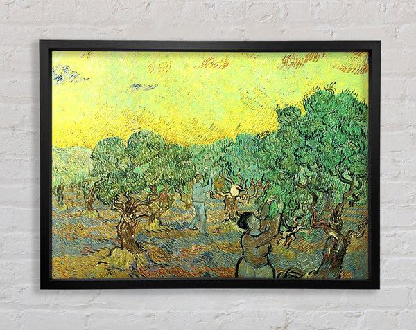Van Gogh Olive Pickers In A Grove Framed Print