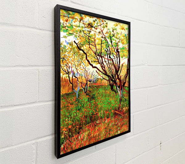 Van Gogh Orchard In Blossom