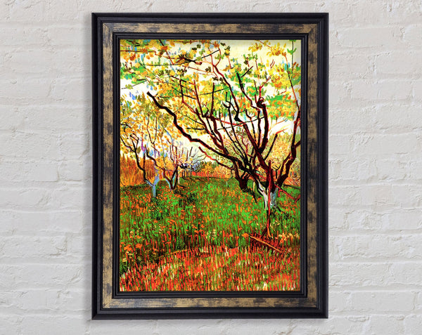 Van Gogh Orchard In Blossom Framed Print