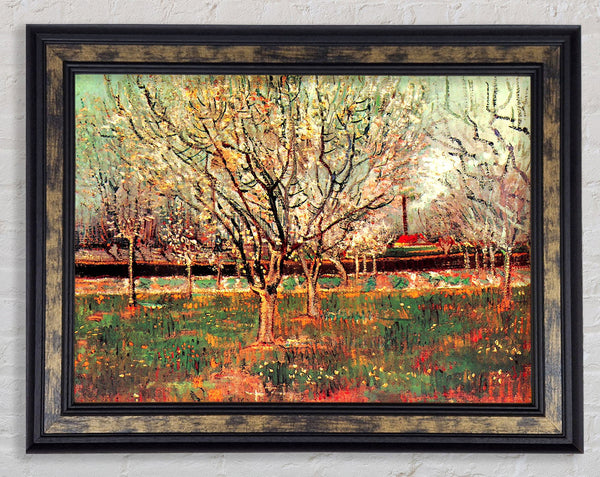 Van Gogh Orchard In Blossom Plum Trees Framed Print