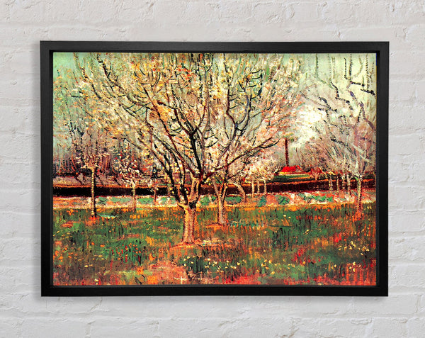 Van Gogh Obstgarten in blühenden Pflaumenbäumen