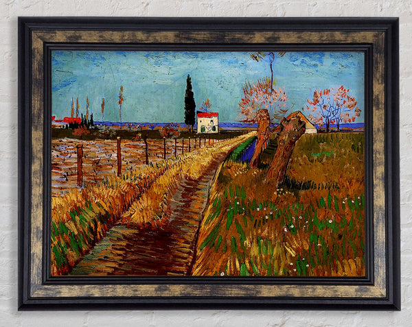 Van Gogh Path Through A Field With Willows Framed Print