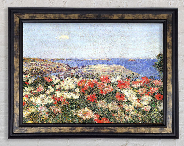 Hassam Poppies On The Isles Of Shoals Framed Print