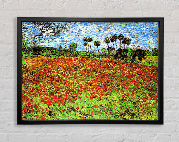 Van Gogh Poppy Fields