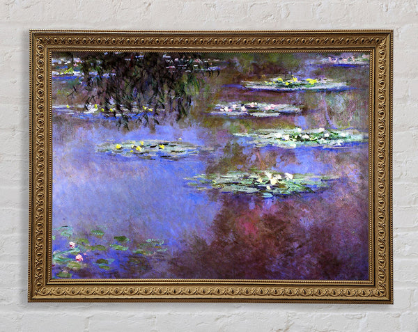 Monet Meeresrosen