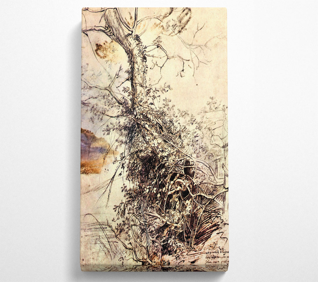  A Canvas Print of Rubens Study Of Tree Canvas Art