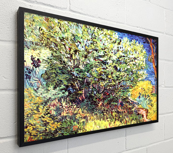 Van Gogh The Bush
