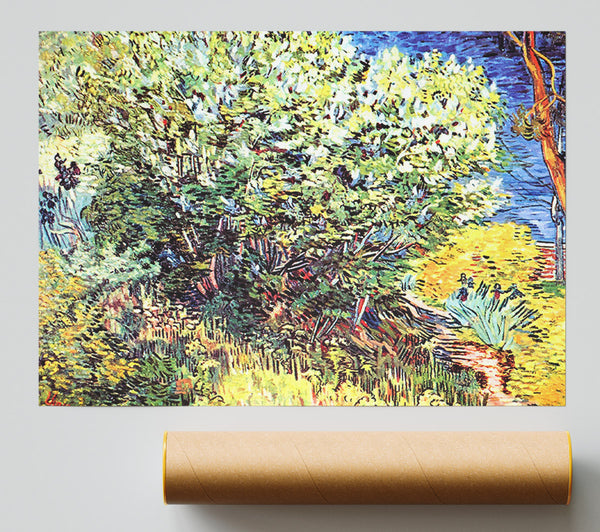 Van Gogh The Bush Poster
