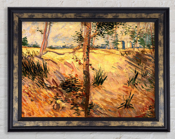 Van Gogh Trees In A Field On A Sunny Day Framed Print