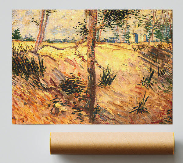 Van Gogh Trees In A Field On A Sunny Day Print