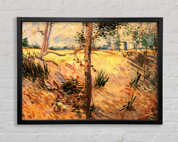 Van Gogh Bäume auf einem Feld an einem sonnigen Tag