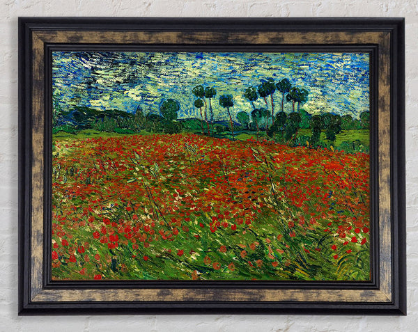 Van Gogh Poppy Field Framed Print