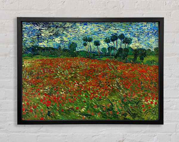 Van Gogh Poppy Field