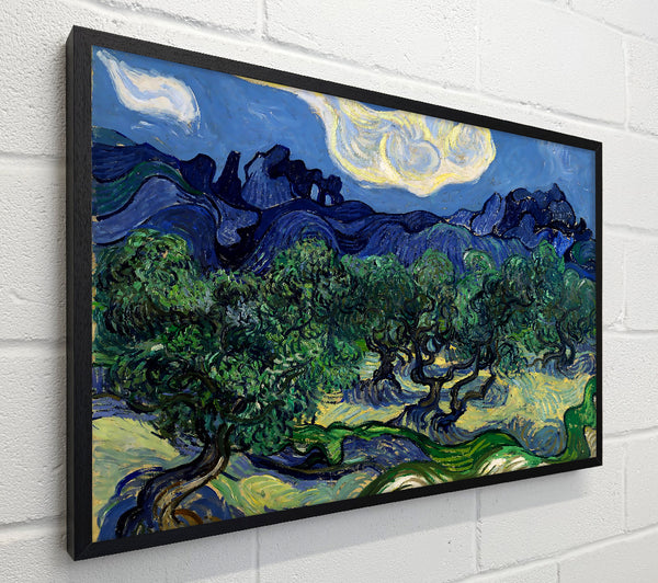Van Gogh The Olive Trees