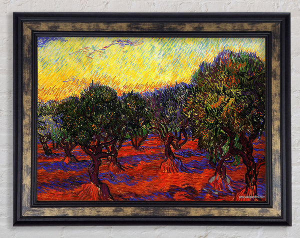 Van Gogh 1889 Olive Grove Framed Print