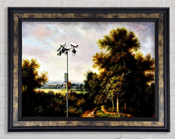 Countryside Cctv Framed Print