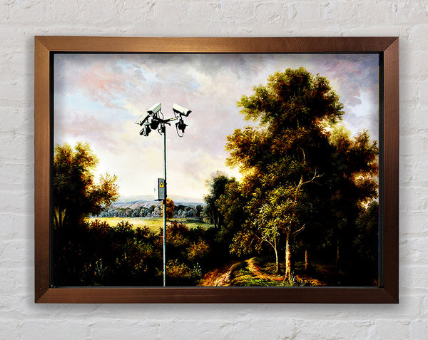 Banksy Countryside Cctv
