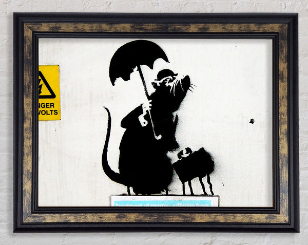 Electrical Rat Framed Print