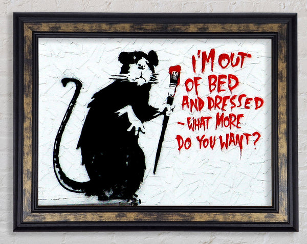 Im Out Of Bed And Dressed What More Do You Want Rat Framed Print