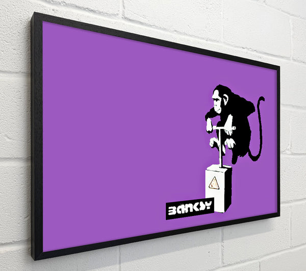 Banksy Monkey Detonator Purple
