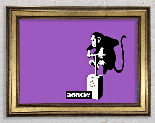 Banksy Monkey Detonator Purple Framed Print