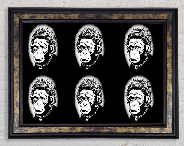 Queen Monkey Framed Print