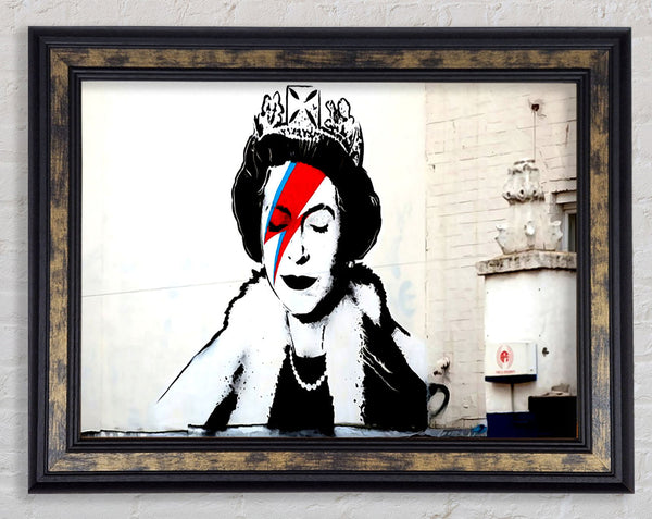 Queen Ziggy Framed Print