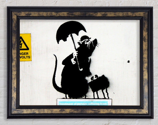 Rat Box Framed Print