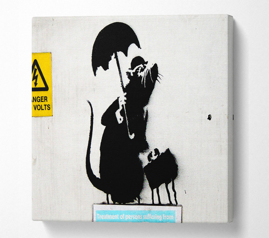  A Canvas Print of Banksy Rat Box Canvas Art