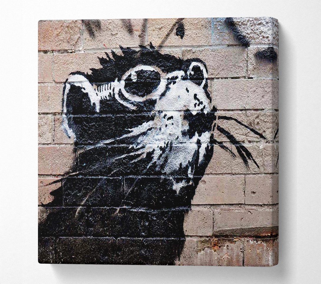  A Canvas Print of Banksy Rat Sunglasses Canvas Art