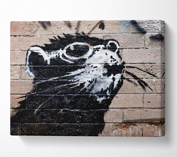  A Canvas Print of Banksy Rat Sunglasses Canvas Art