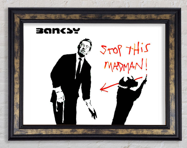 Stop This Madman Framed Print