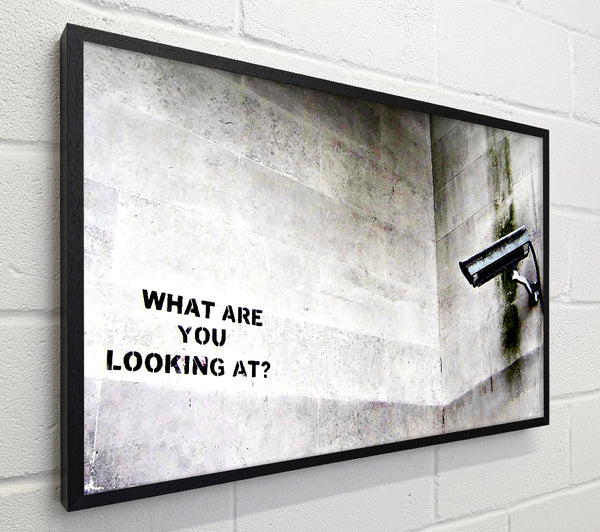 Banksy What Are You Looking At