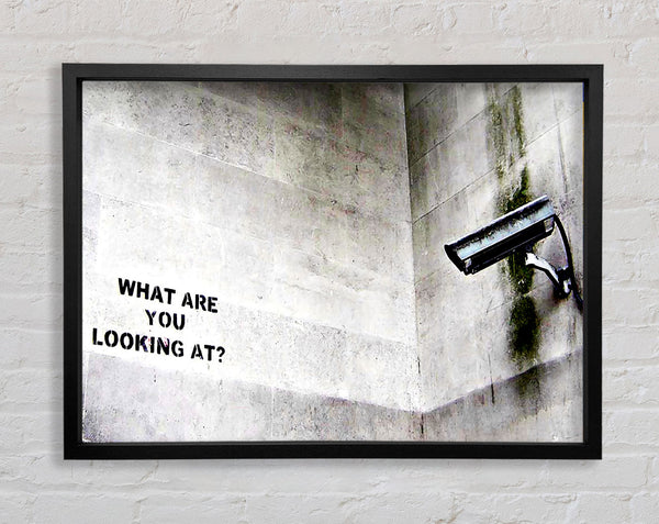 Banksy What Are You Looking At