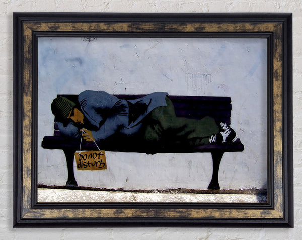 Do Not Disturb Framed Print