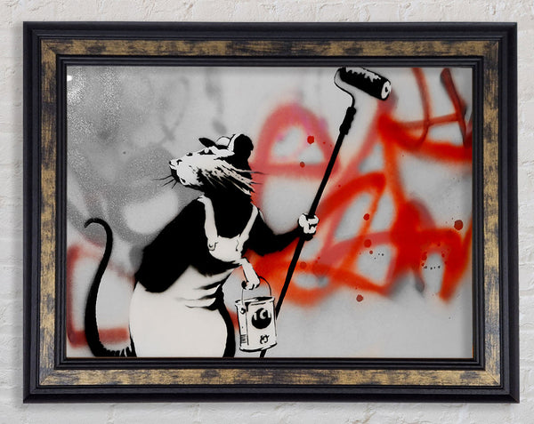 Graffiti Rat Removal Framed Print