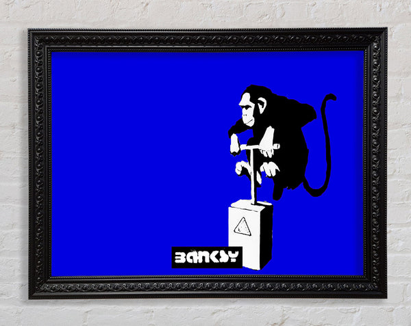 Banksy Monkey Detonator Blue Framed Print