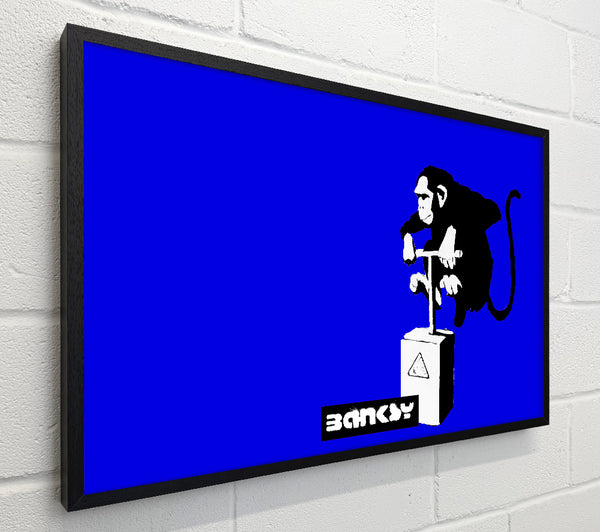 Banksy Monkey Detonator Blue
