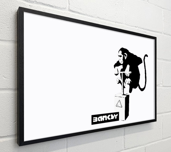 Banksy Monkey Detonator White