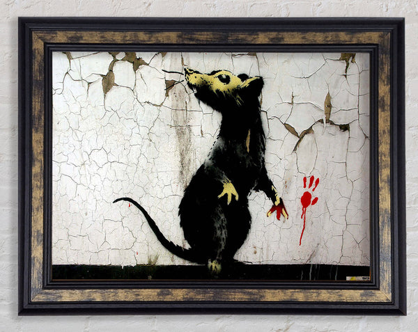 Rat Paw Framed Print