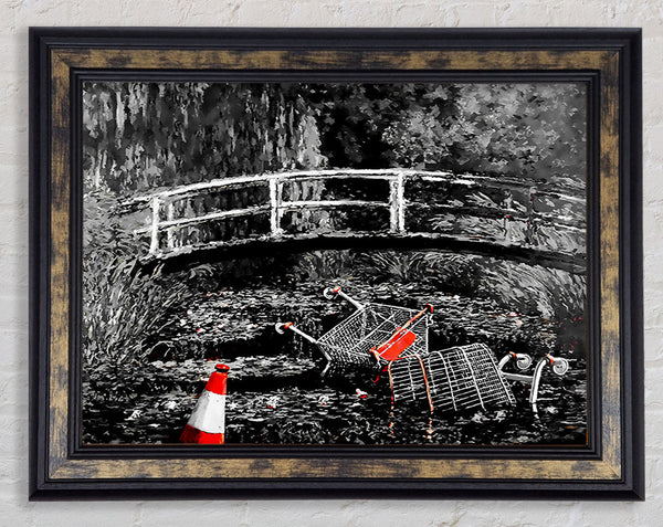 Waterlily Trash B n W Colour Framed Print