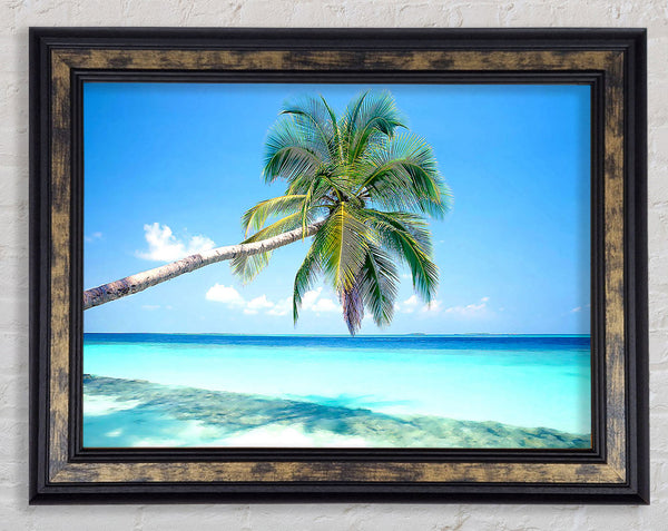Tropical Island Framed Print