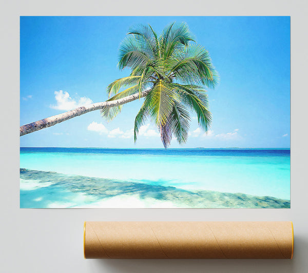 Tropical Island Print