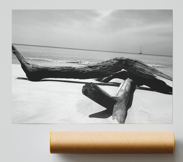 Ocean Drift Wood On The Shore B N W Poster
